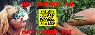 гидра Будённовск