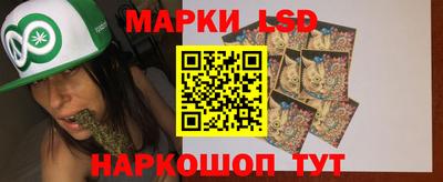 гидра Будённовск