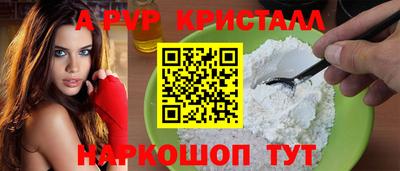 гидра Будённовск