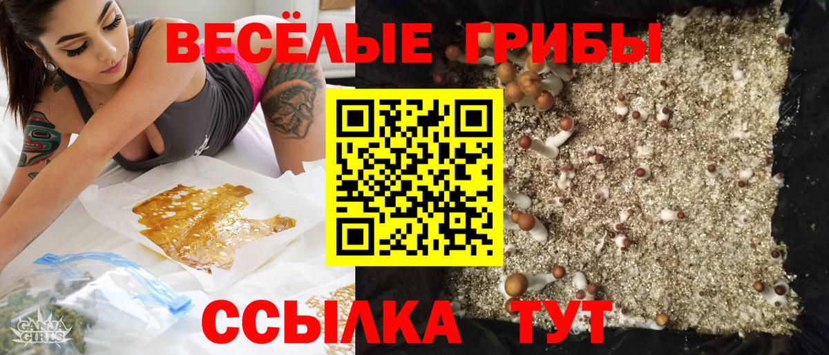 Псилоцибиновые грибы ЛСД Лесной