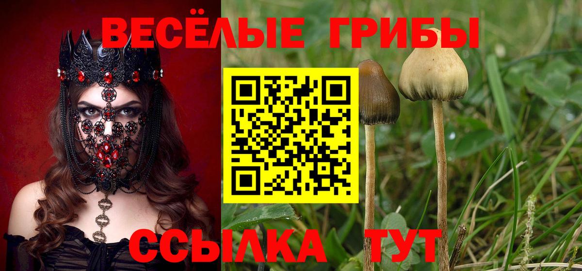 Лесной  Галлюциногенные грибы мухоморы  Вход с VPN 